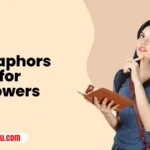 Metaphors for Flowers